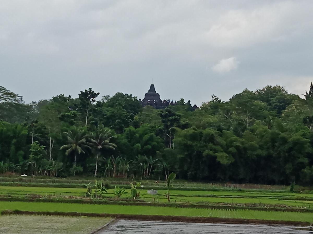 Penginapan & Guest House Mbok Dhe Borobudur Magelang Exterior foto